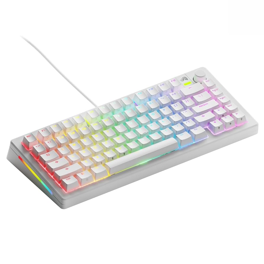 MMK様 Glorious PC GMMK Compact 60% RGB Double Shot ABS Mechanical